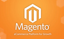 magento platform website developer mumbai