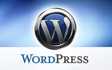 wordpress website developer in mumbai