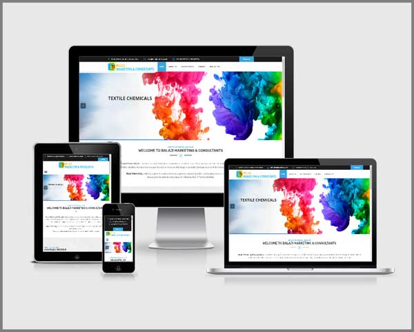 Bizz Webtech Solutions Website Portfolio